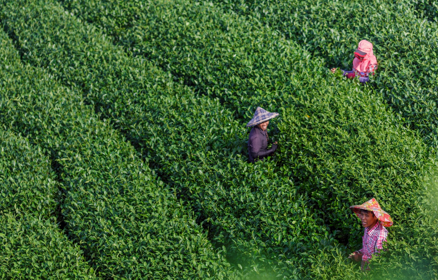 茶覺旅 Tea Way Hotel 品牌核心價值情境